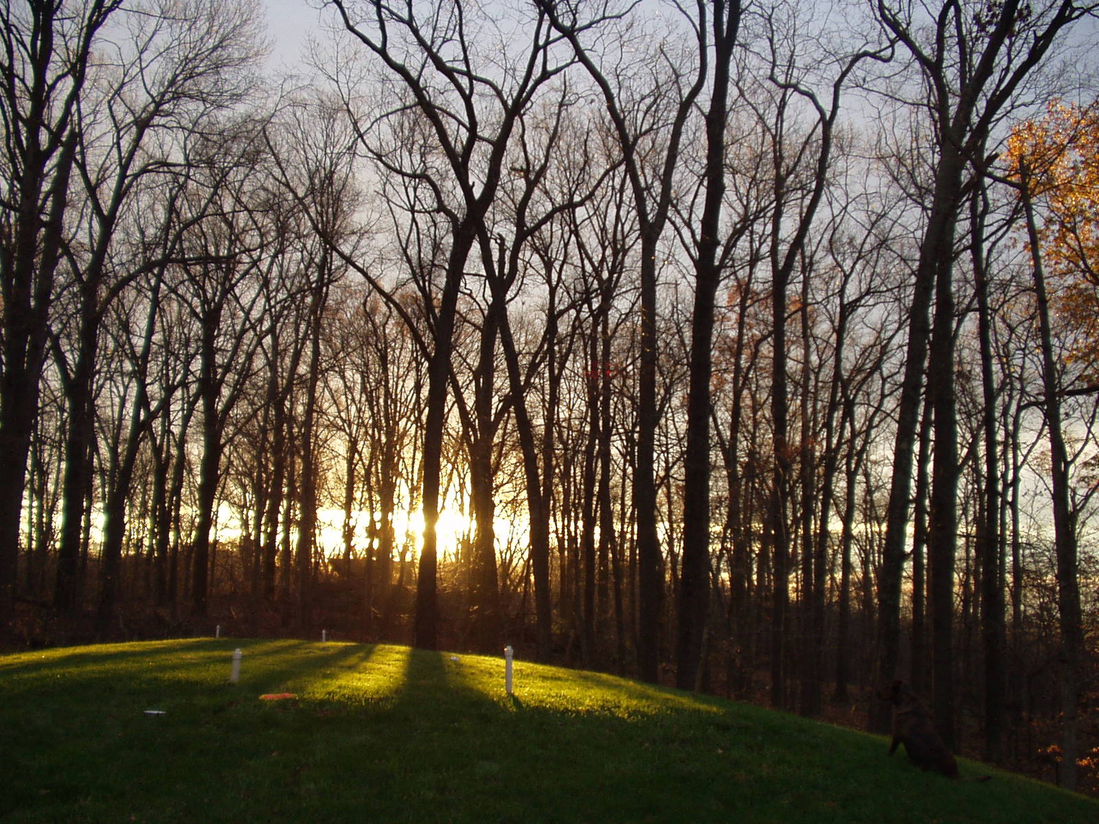 fall2003.jpg